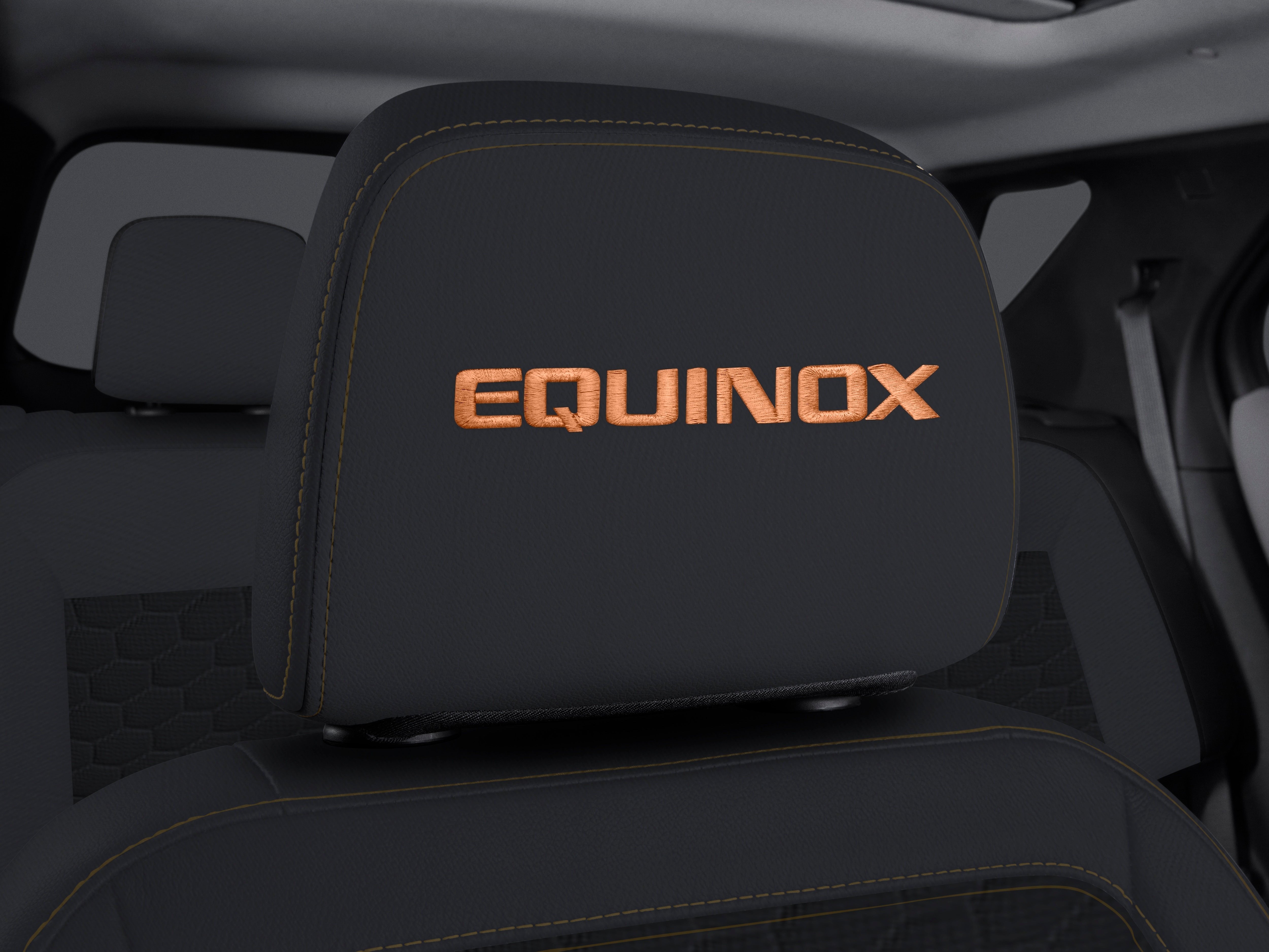 Cloth Headrest in Jet Black with Embroidered Equinox Script