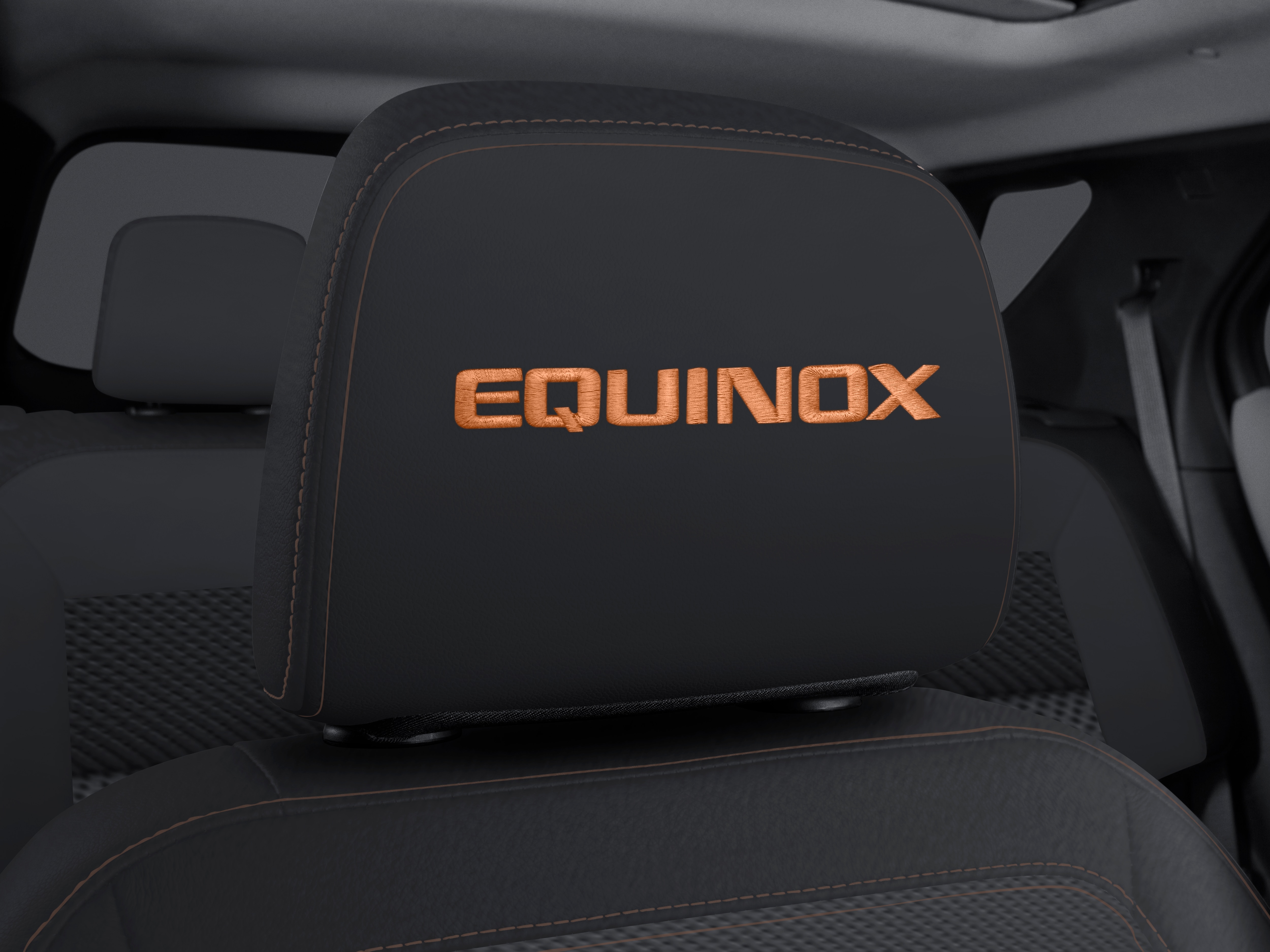 Vinyl Headrest in Jet Black with Embroidered Equinox Script
