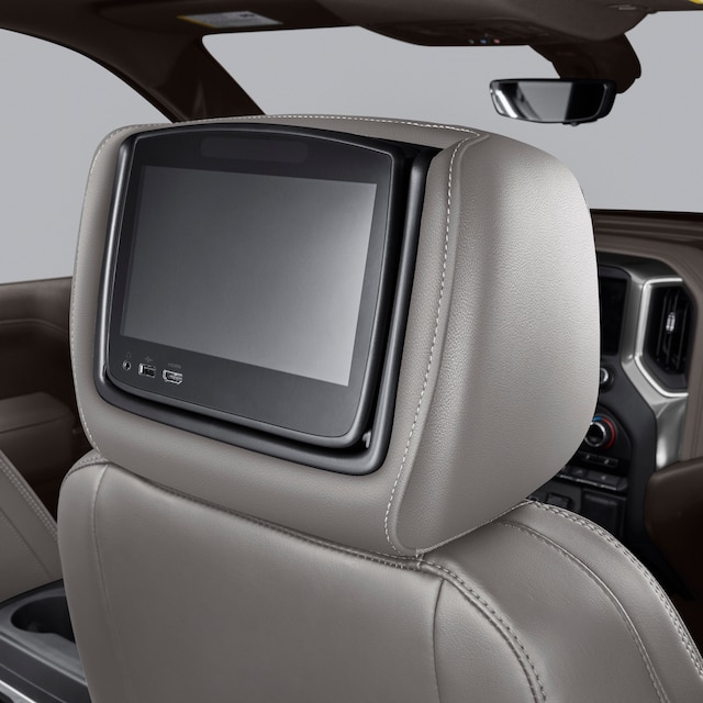 Rear-Seat Infotainment System with DVD Player in Slate Leather
