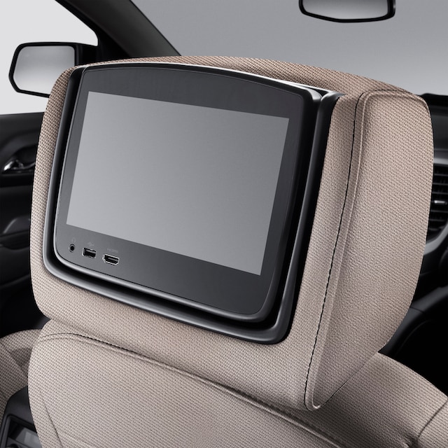 Rear-Seat Infotainment System with DVD Player in Light Ash Gray Cloth