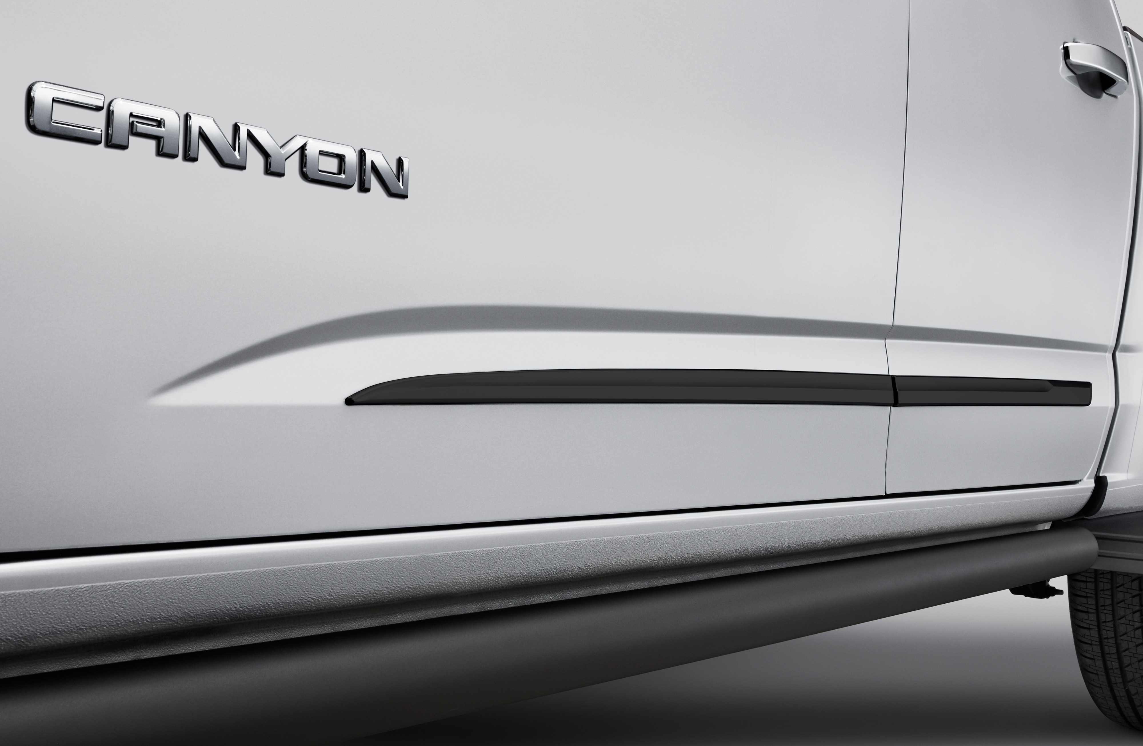 Extended Cab Door Moldings in Black