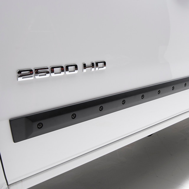 Bolt-On Look Body Side Molding for Crew Cab Trucks by EGR® - Associated Accessories