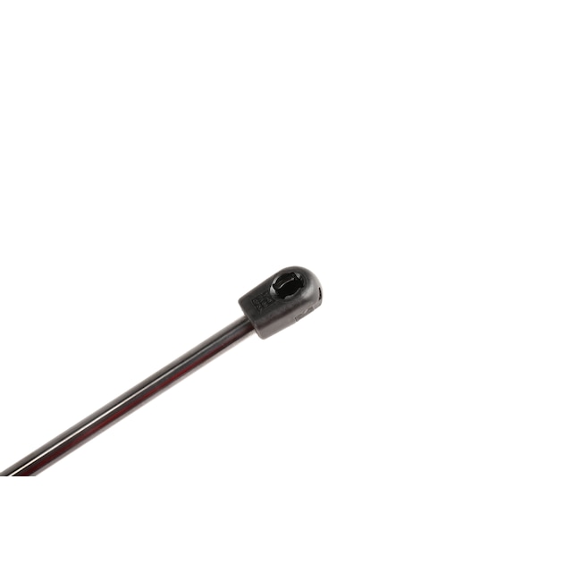 Alternate Image