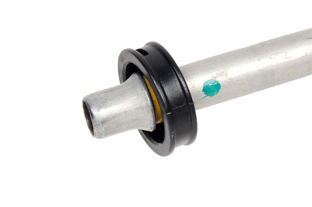 Alternate Image