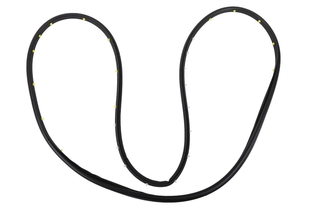 GM Genuine Parts Driver Side Front Door Weatherstrip