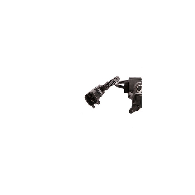 Alternate Image