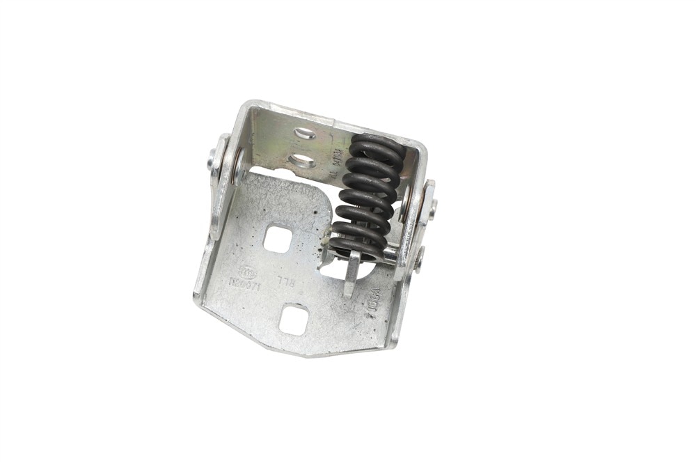 GM Genuine Parts Driver Side Rear Door Lower Hinge