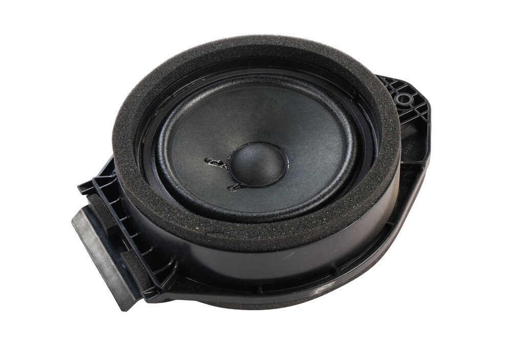 GM Genuine Parts Rear Side Door Speaker