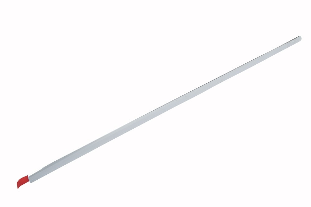 GM Genuine Parts Bright Chrome Passenger Side Front Side Door Molding