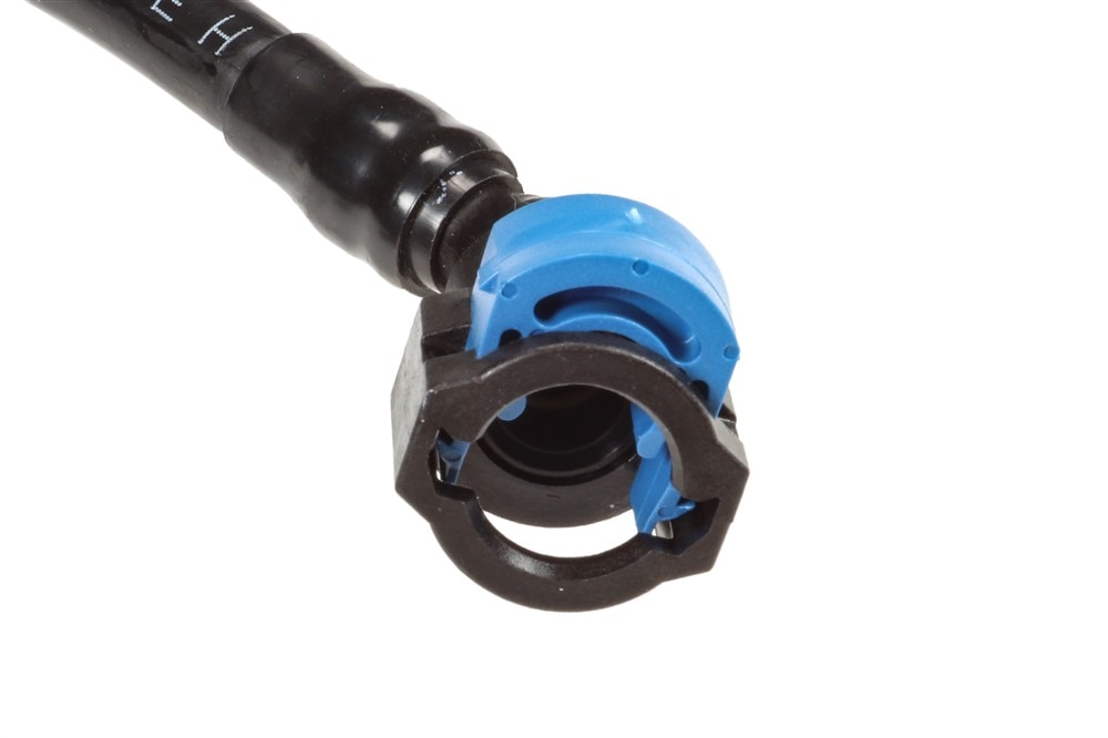 Alternate Image