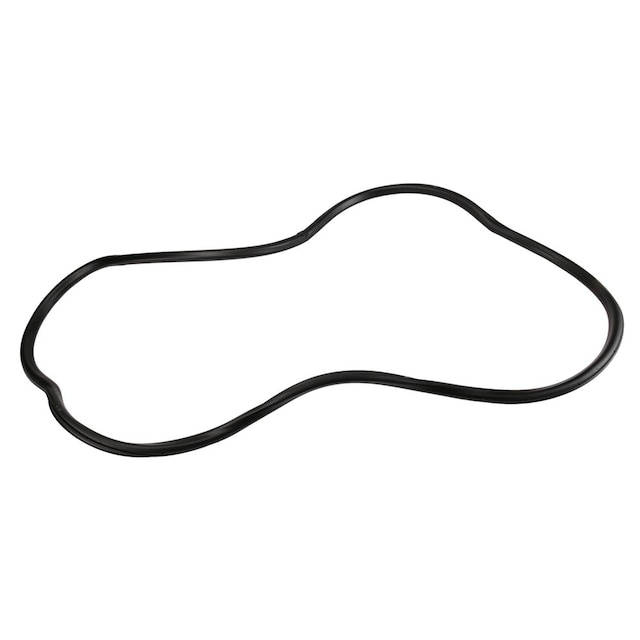 GM Genuine Parts Front Side Door Weatherstrip