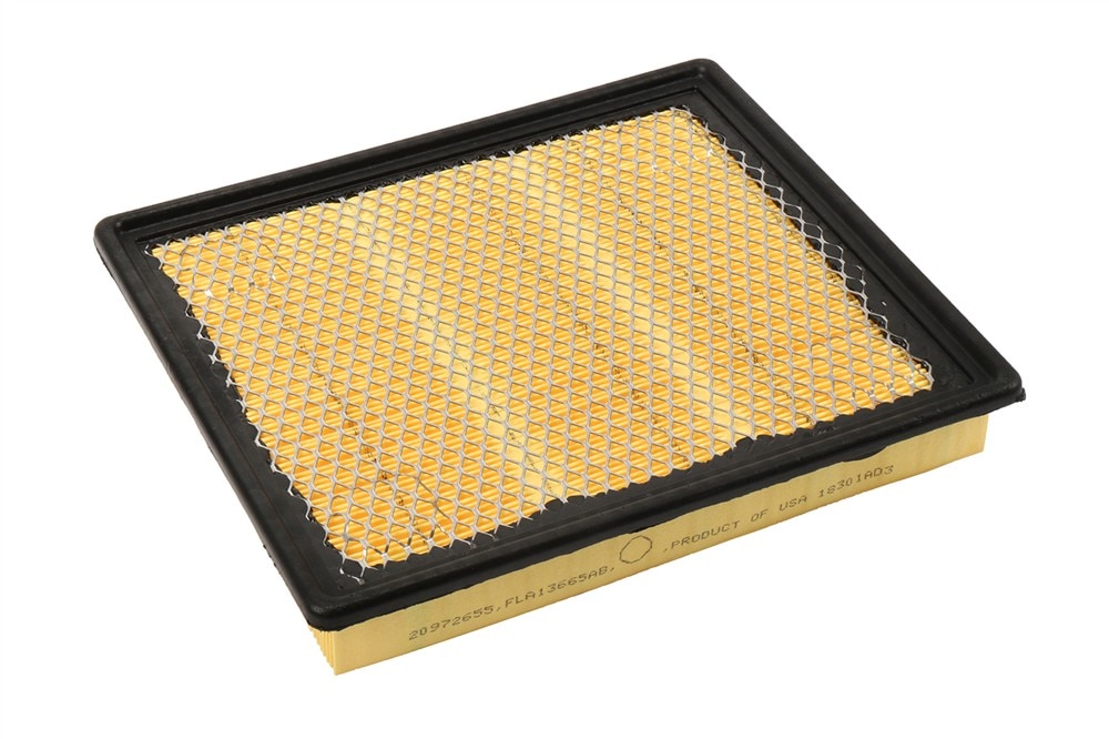 ACDelco GM Original Equipment Air Filter