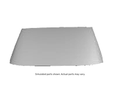 GM Genuine Parts Windshield