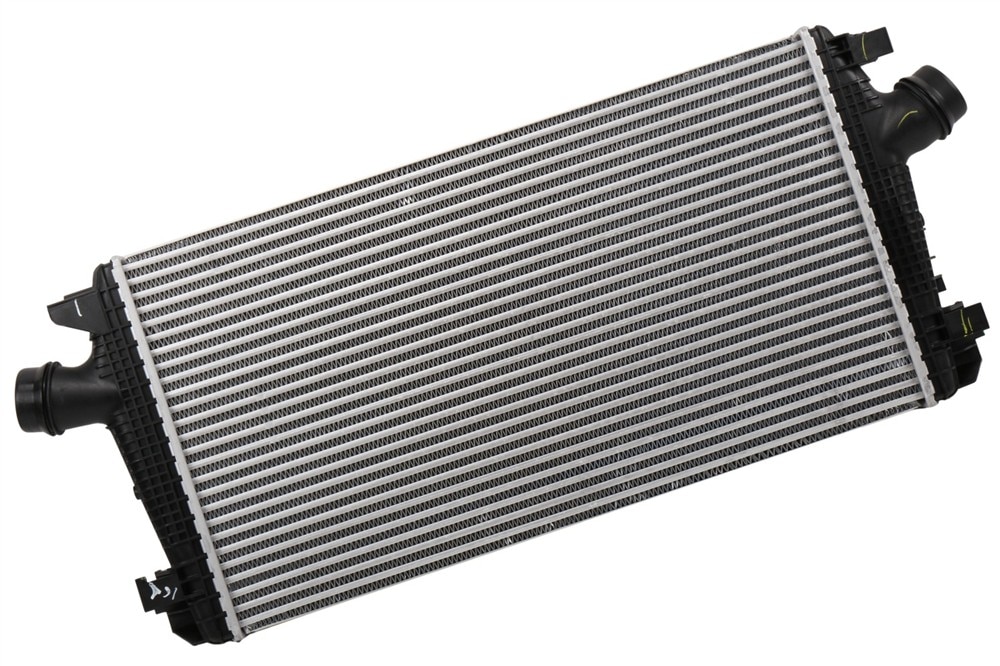 Alternate Image