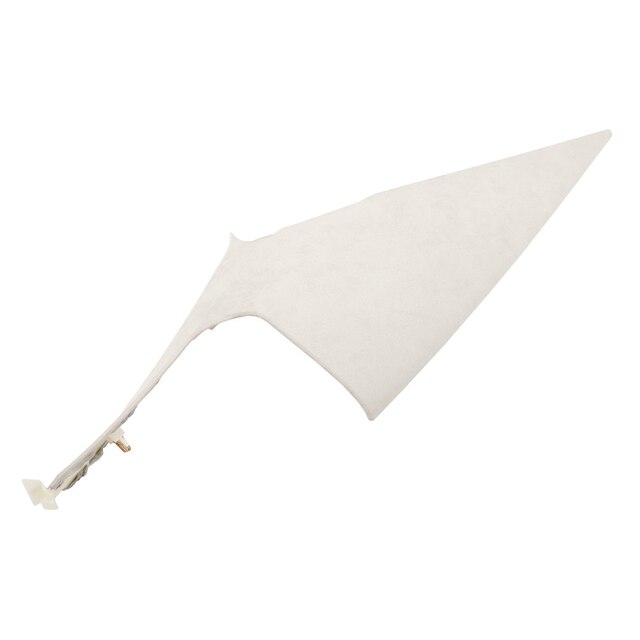 GM Genuine Parts Very Light Platinum Driver Side Body Side Rear Window Garnish Molding
