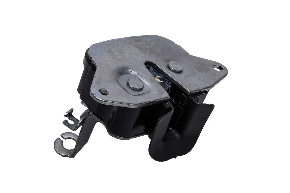 GM Genuine Parts Rear Side Door Lower Latch