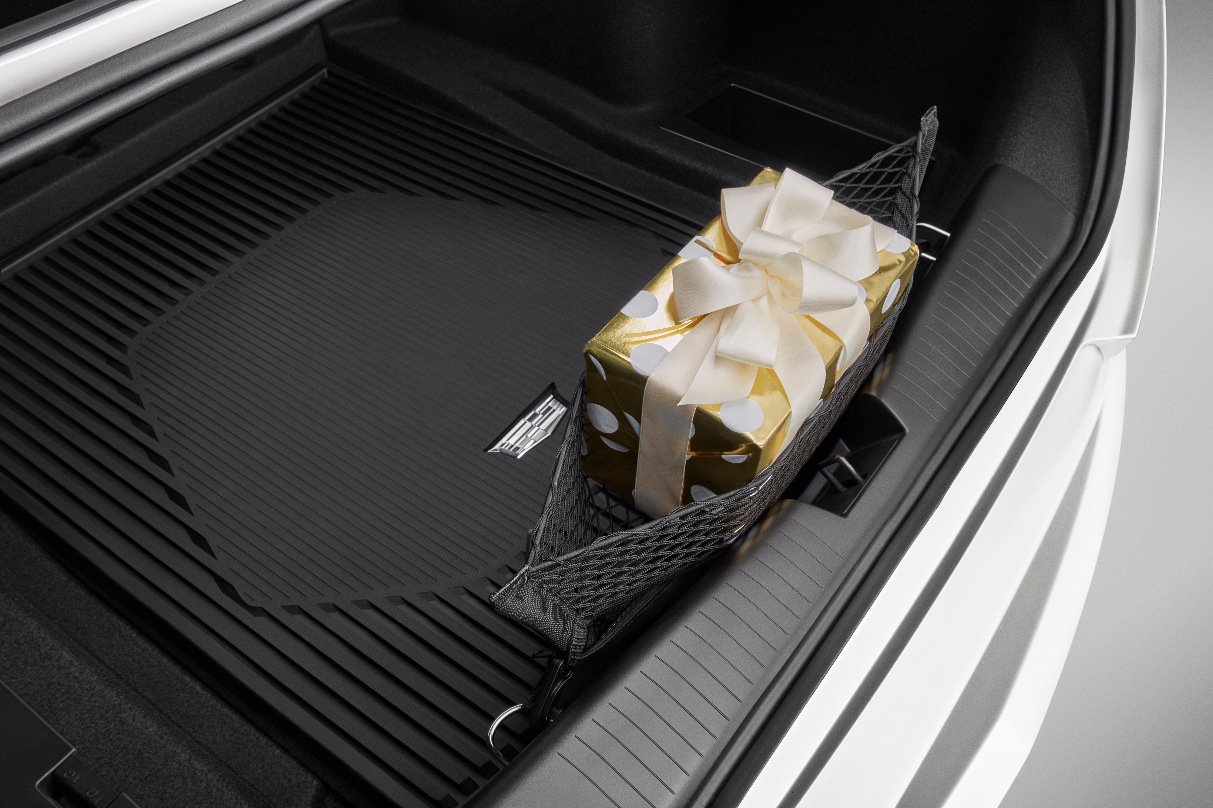 On-Vehicle Image