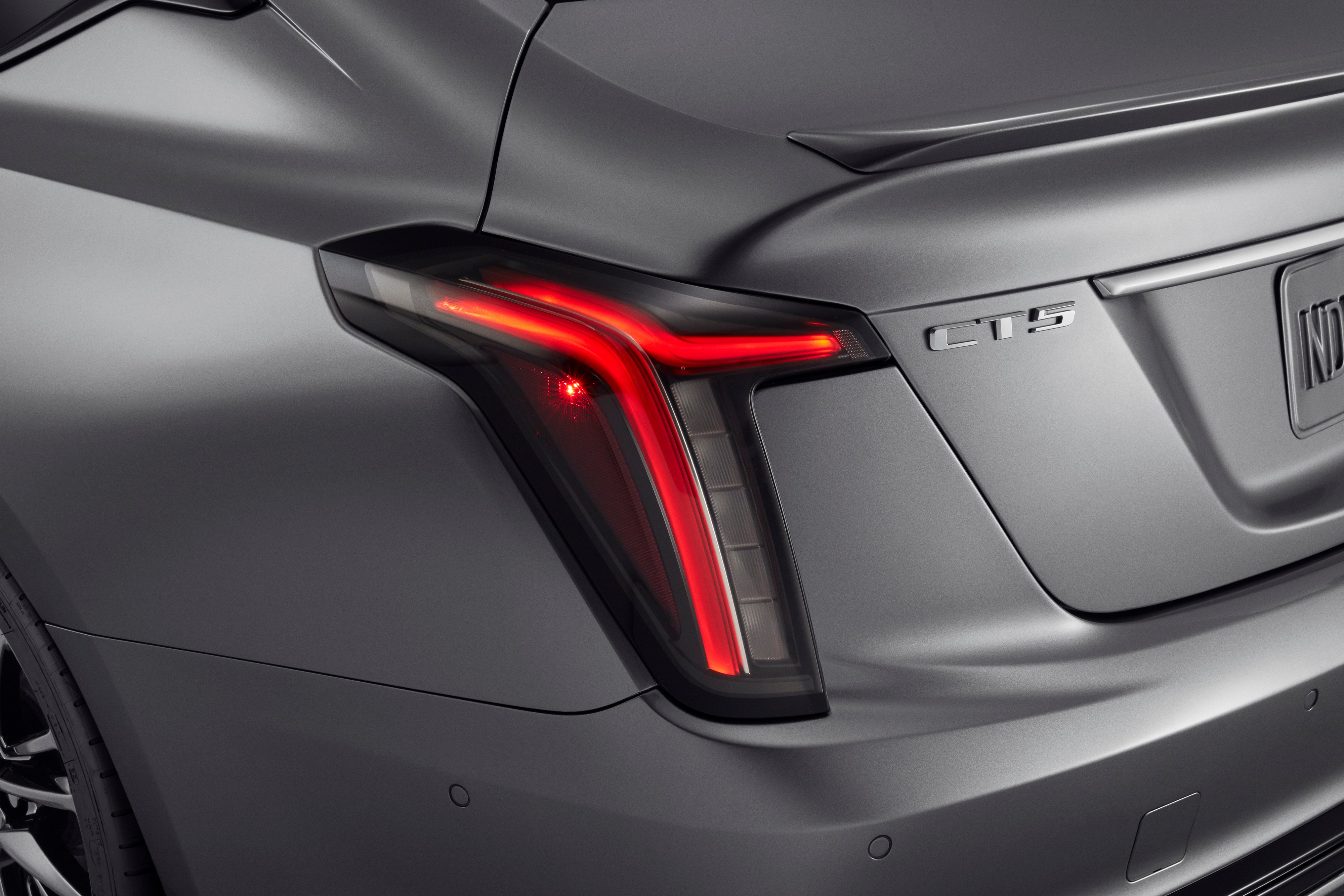 Taillamps in Clear Finish