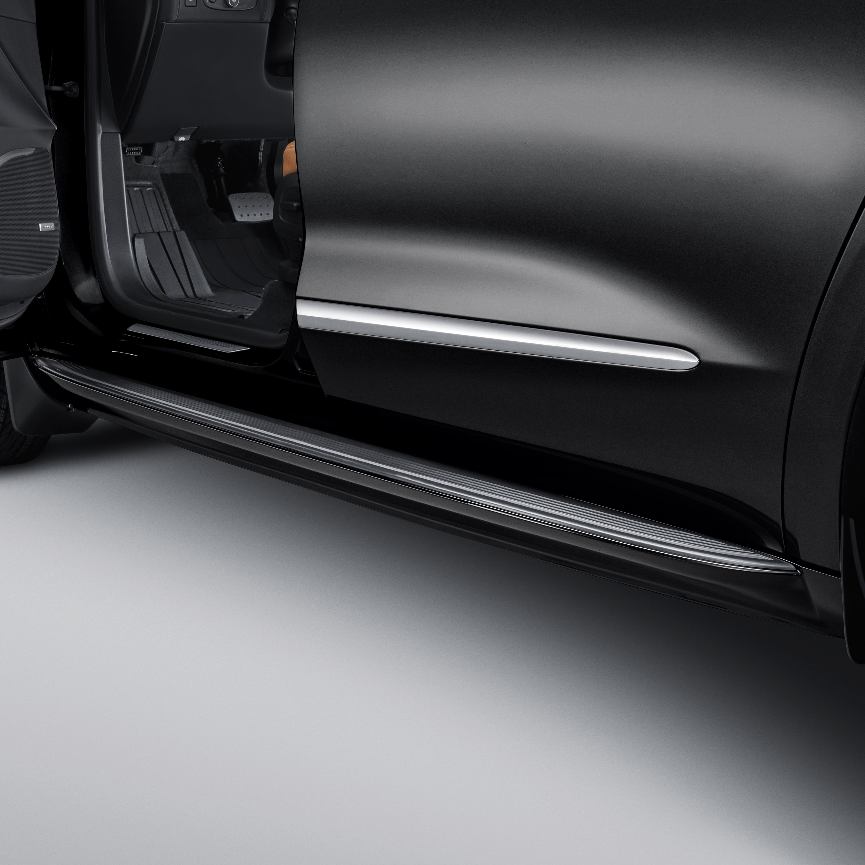 Molded Assist Steps in Ebony Twilight Metallic