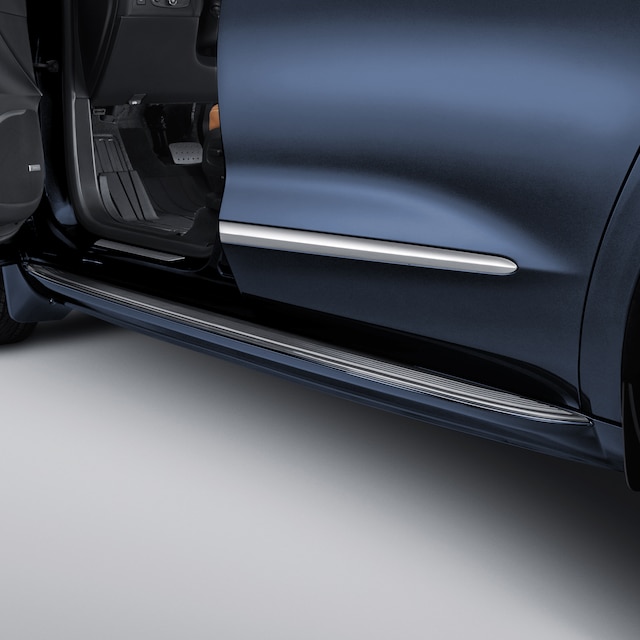 Molded Assist Steps in Emperor Blue Metallic