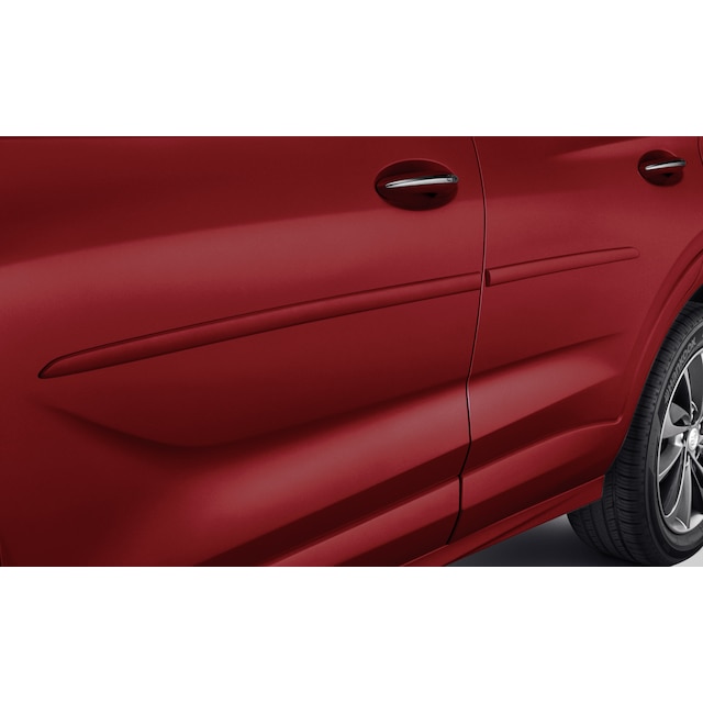 Door Moldings in Cinnabar Metallic