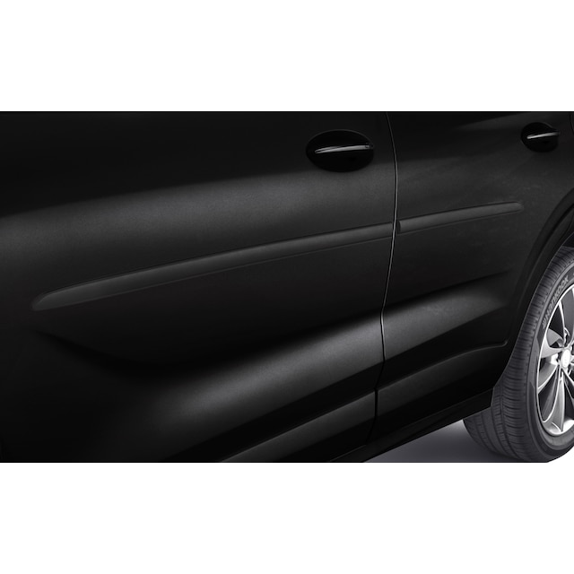 Door Moldings in Ebony Twilight Metallic