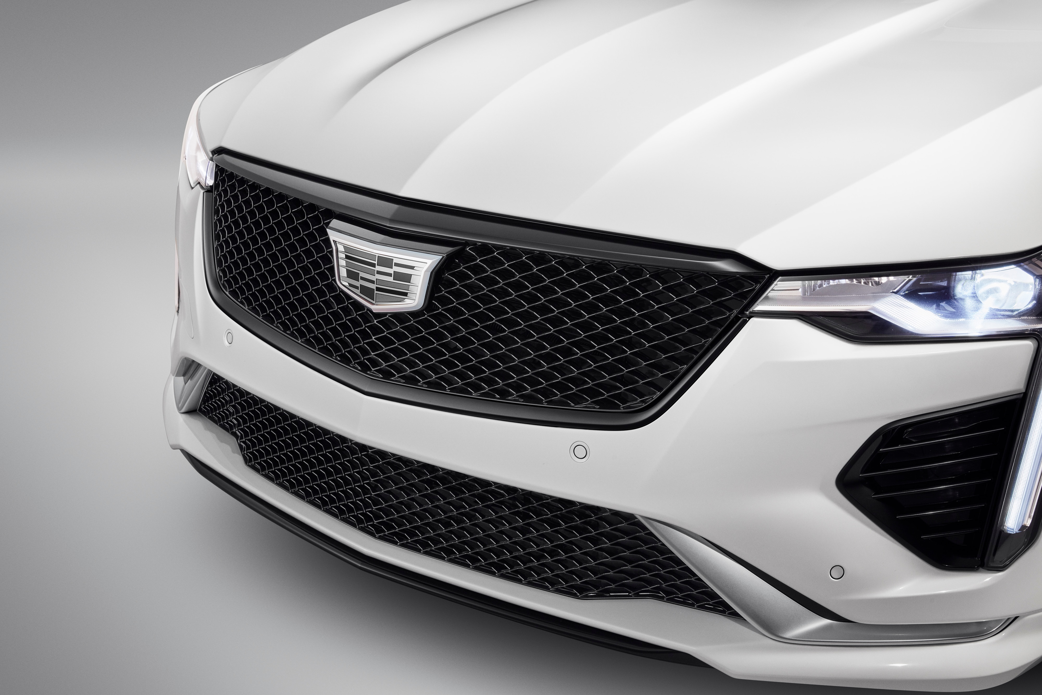 Cadillac Crest Emblems in Monochrome Finish