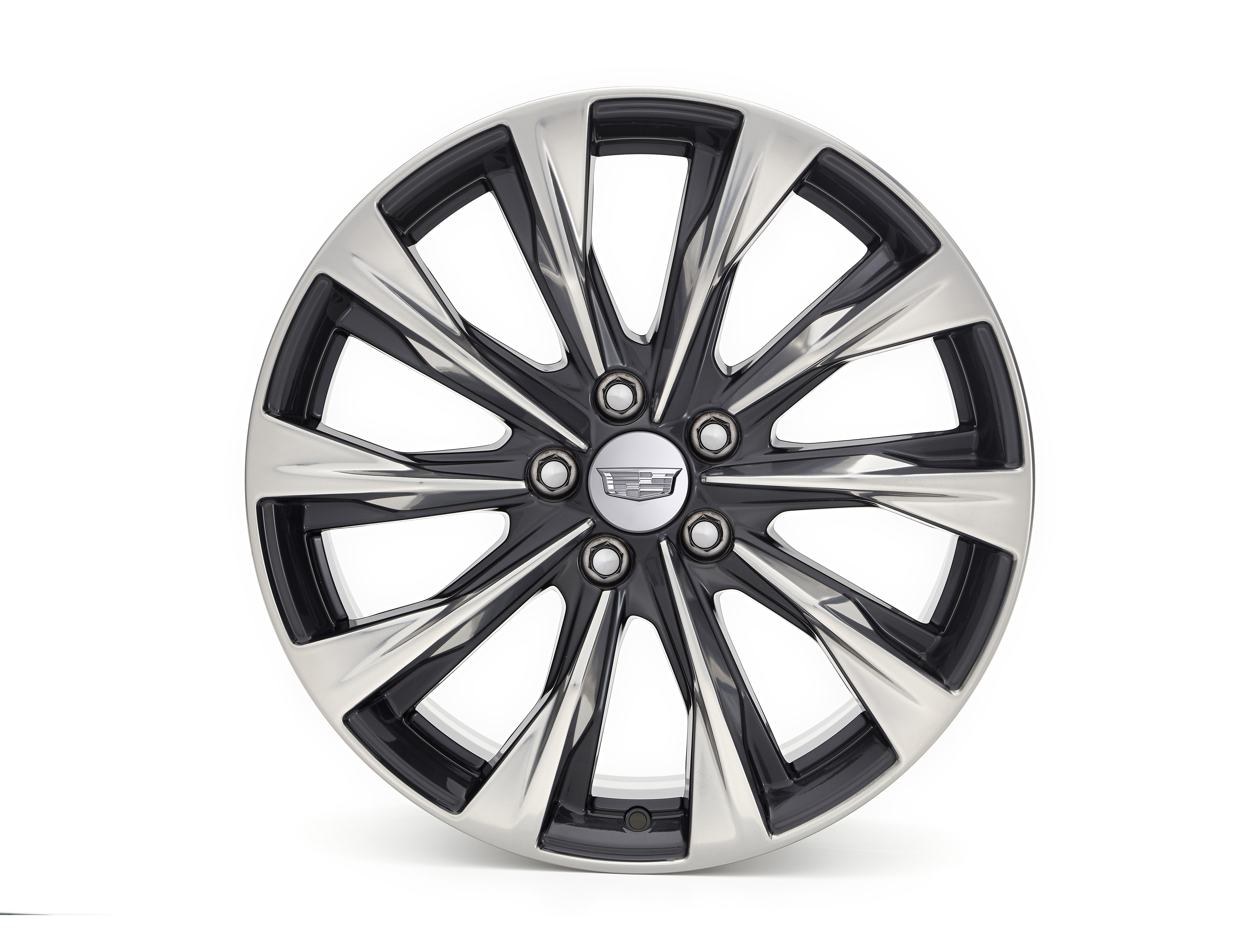 19 x 8-Inch 10-Spoke Wheel Package in Polished Face with Painted Dark Android Pockets