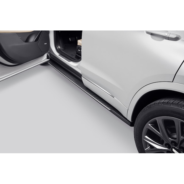 Molded Assist Steps in Black