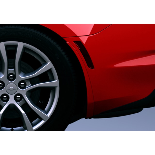 Rear Splash Guards in Wild Cherry Tintcoat