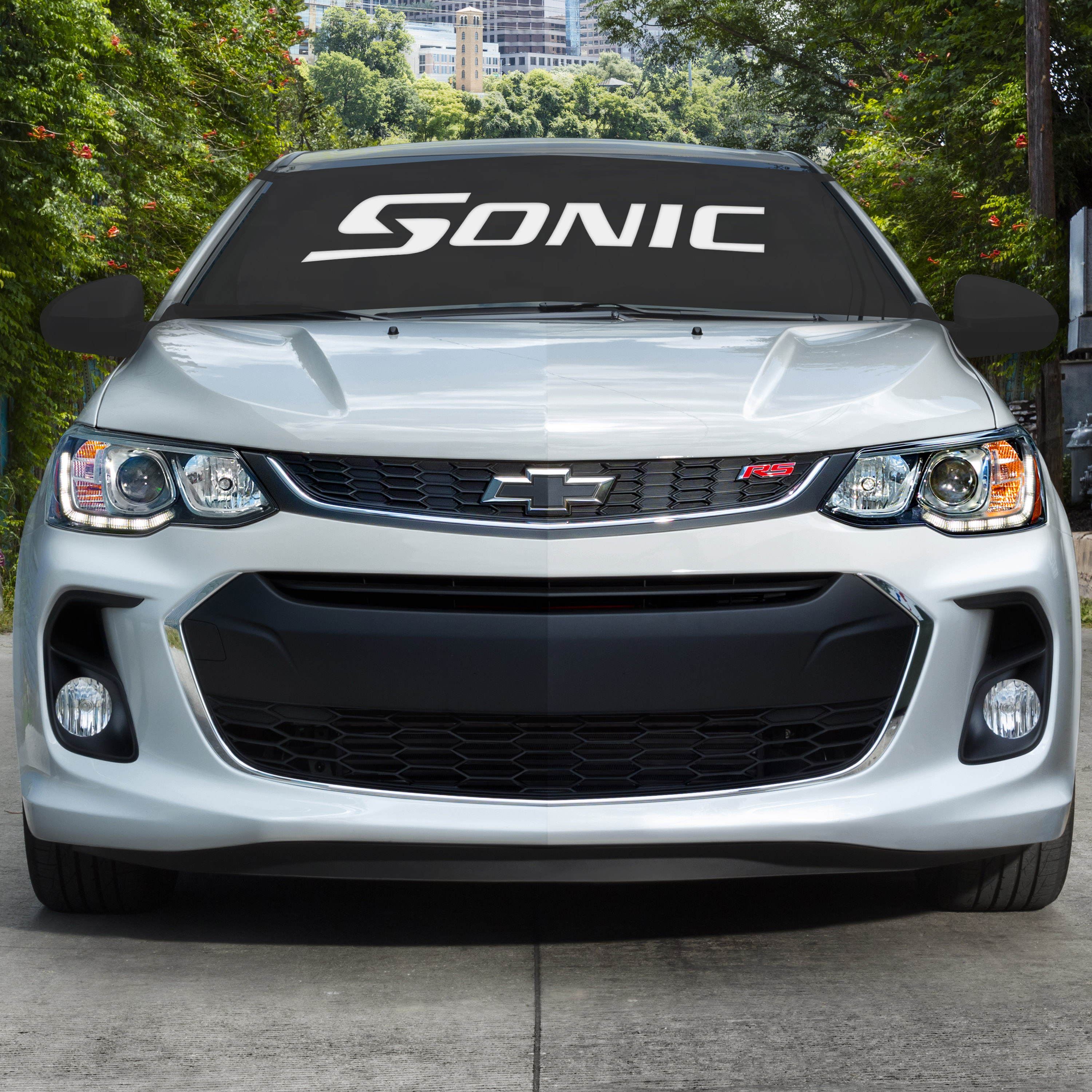 Windshield Protector