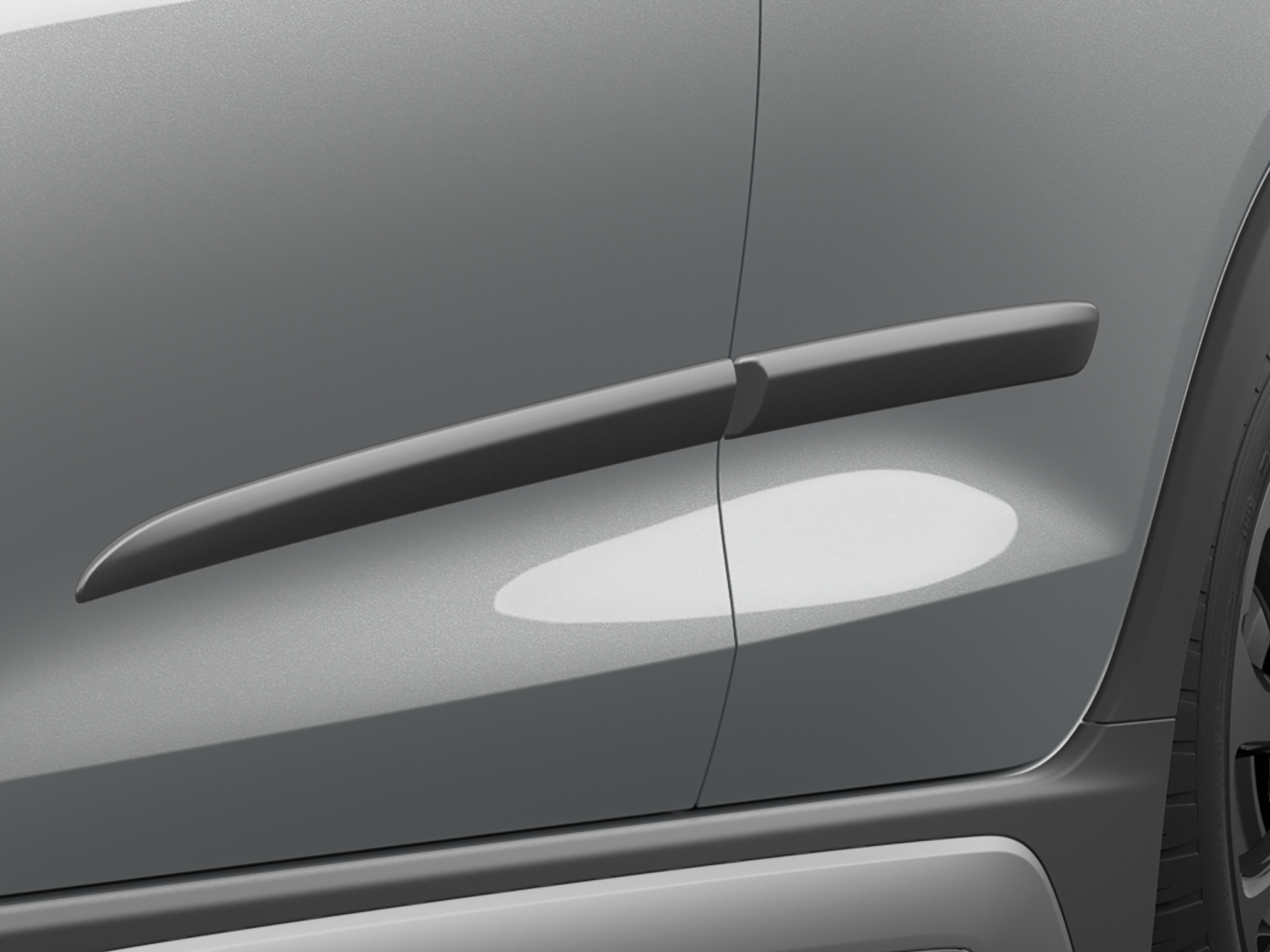 Bodyside Molding in Silver Ice Metallic