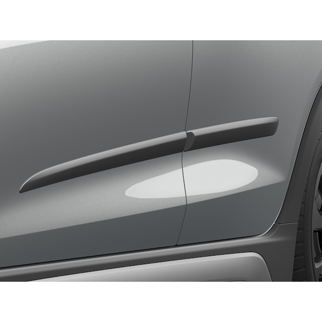 Bodyside Molding in Silver Ice Metallic