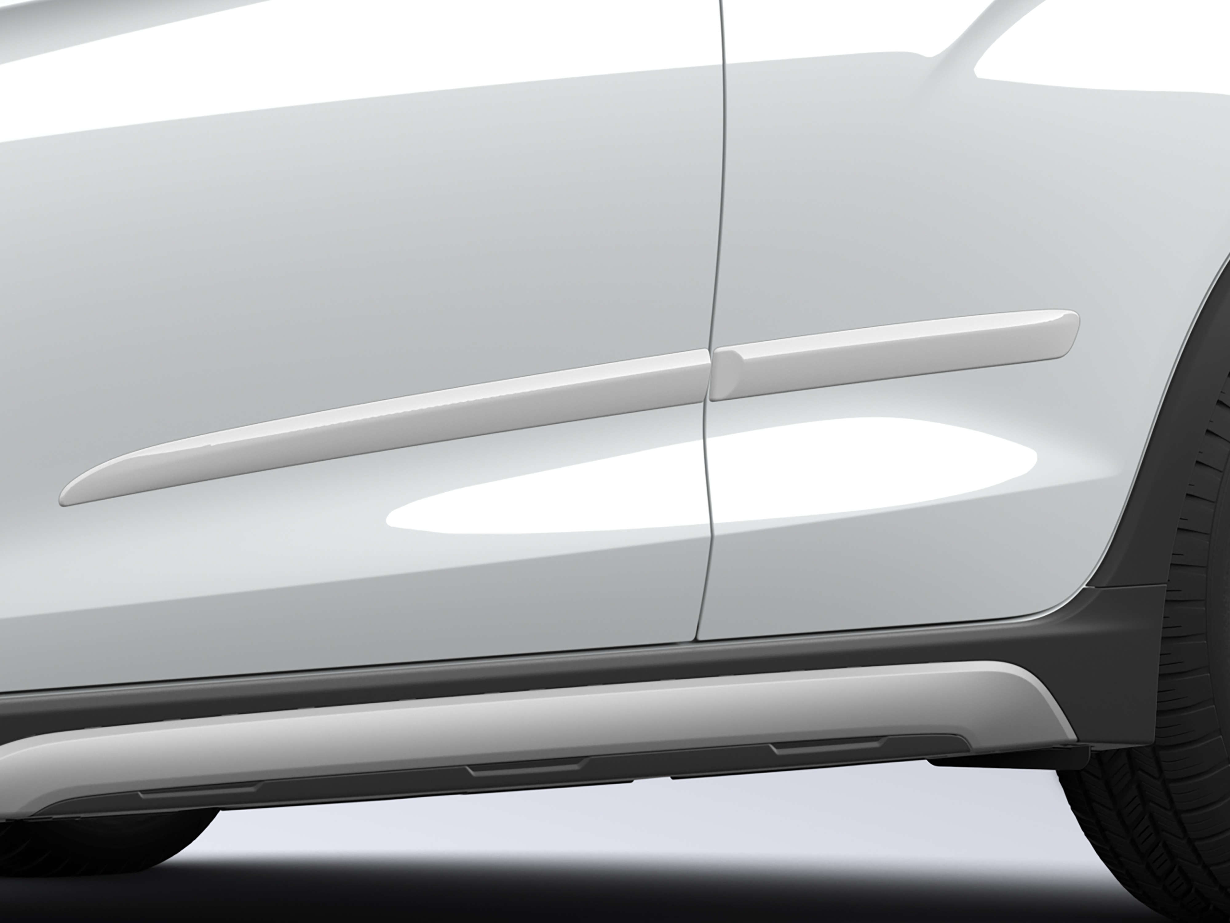 Bodyside Molding in Summit White