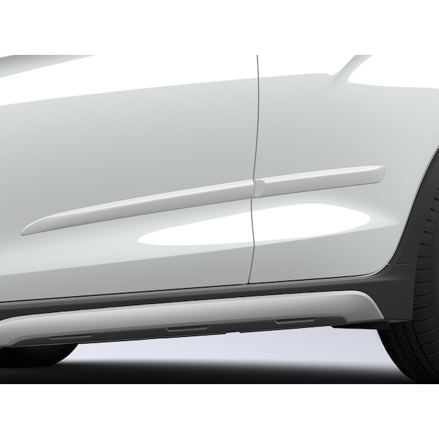 Bodyside Molding in Summit White