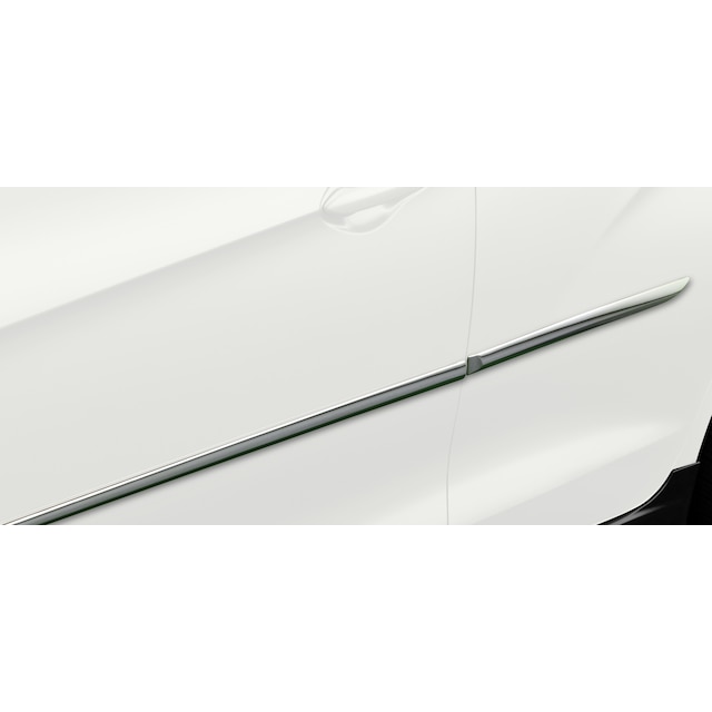 Bodyside Molding in Chrome