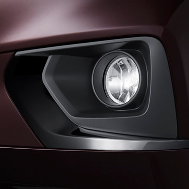 Fog Lamp Trim in Black Ice Chrome