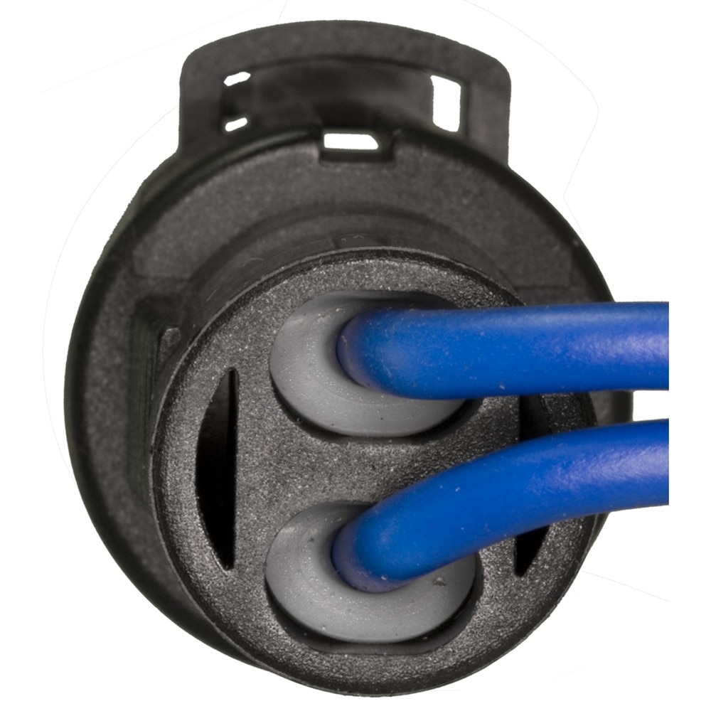 Alternate Image