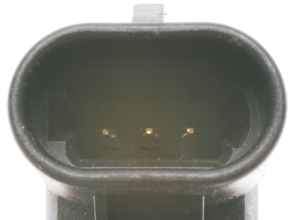 Alternate Image