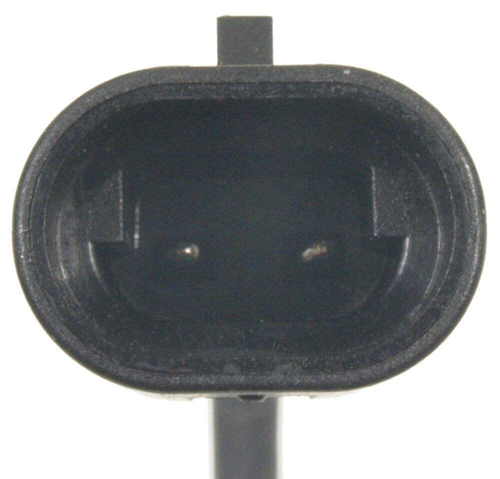 Alternate Image