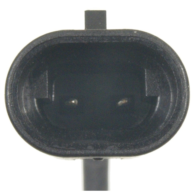 Alternate Image