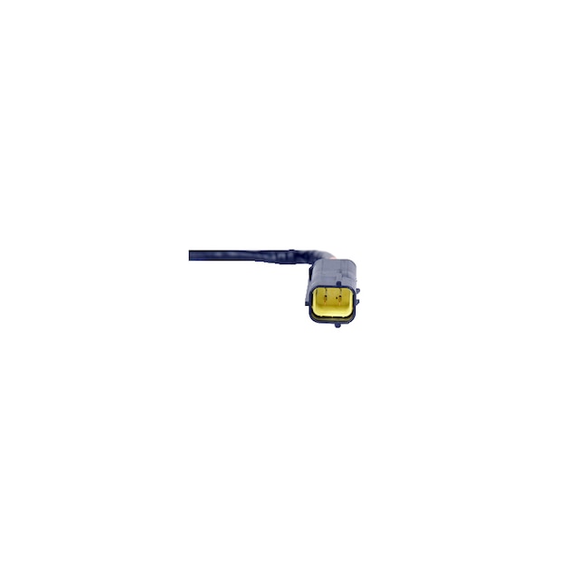 Alternate Image