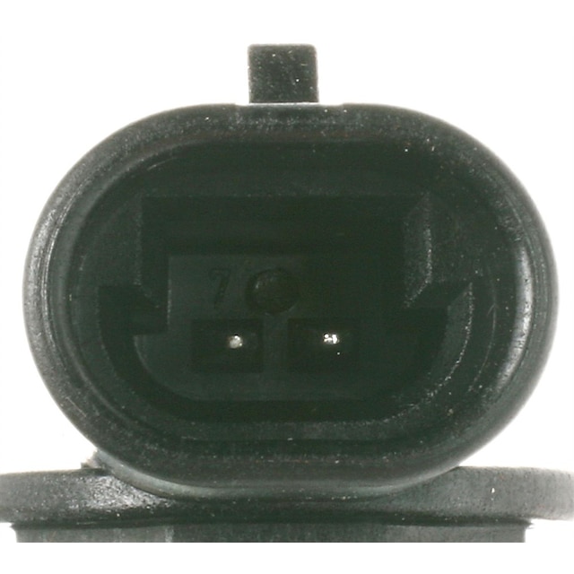 Alternate Image