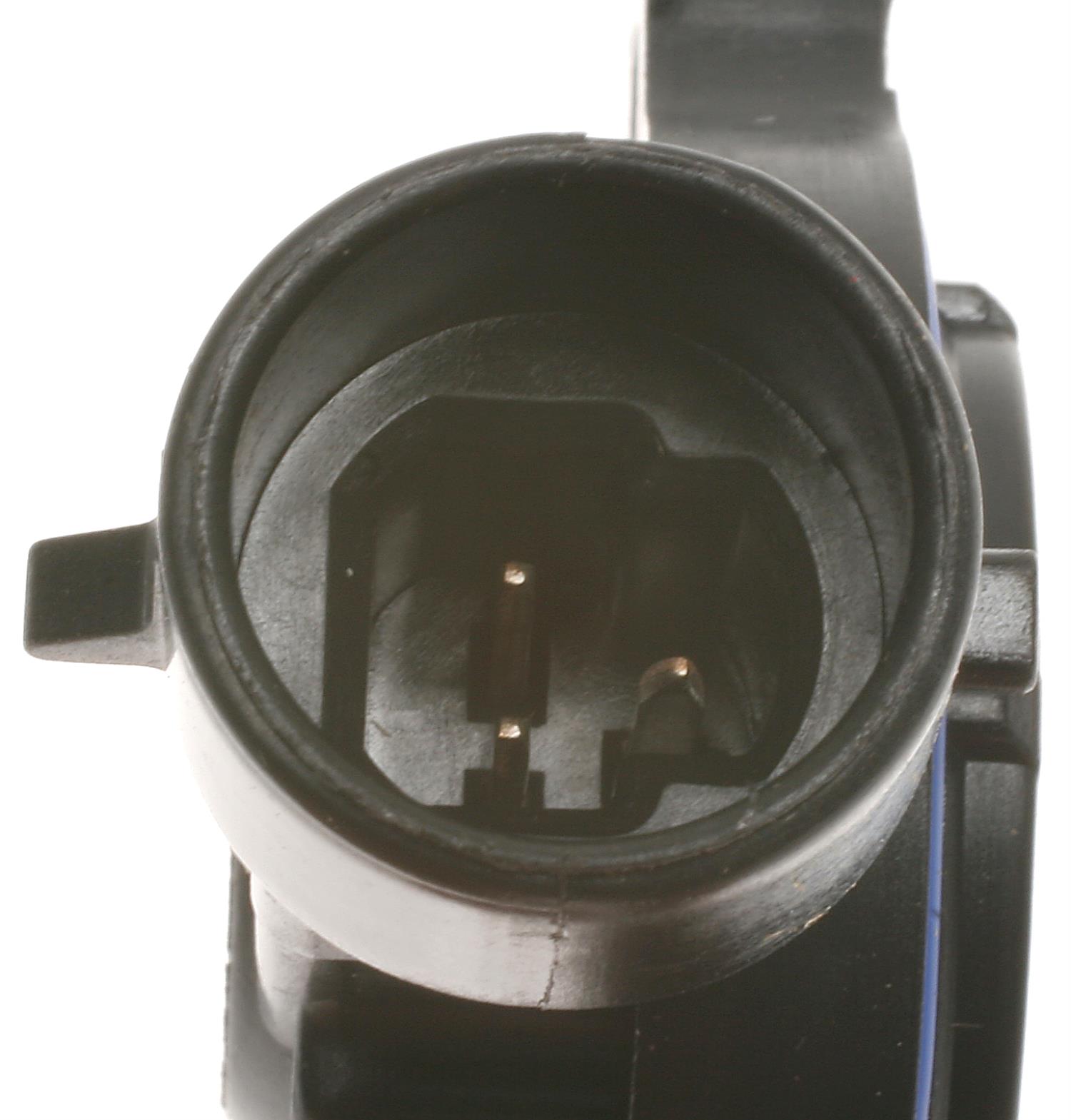 Alternate Image
