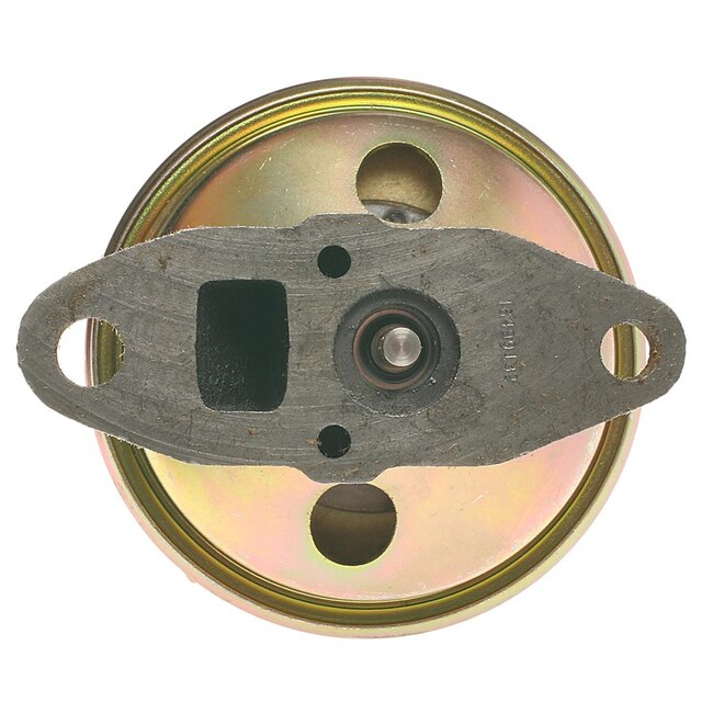 Alternate Image