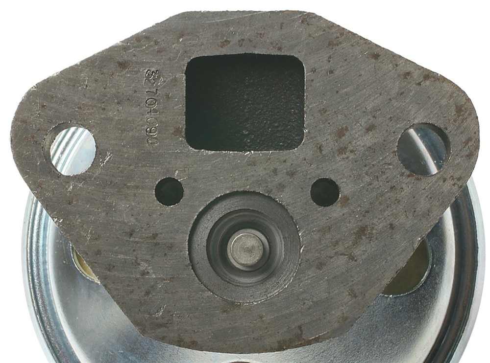 Alternate Image