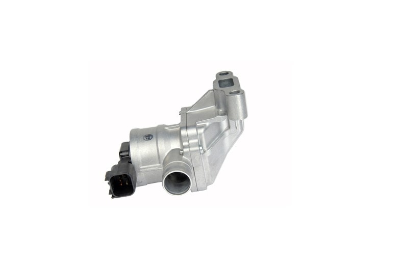 GM Genuine Parts Air Injection Valve