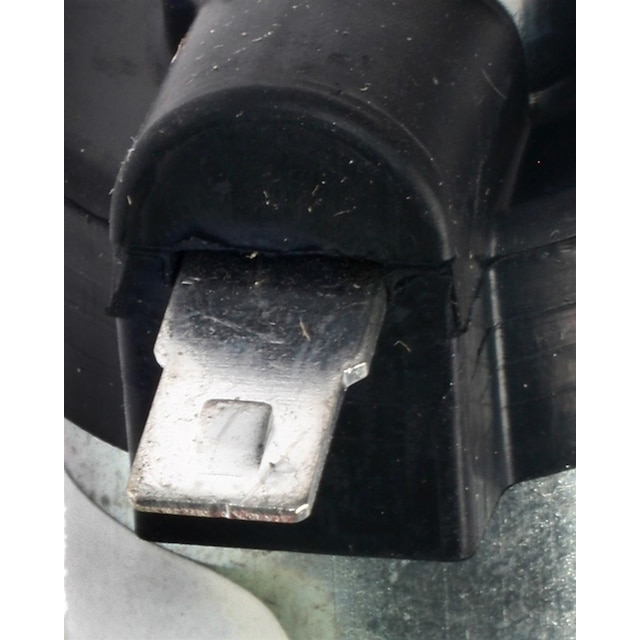 Alternate Image