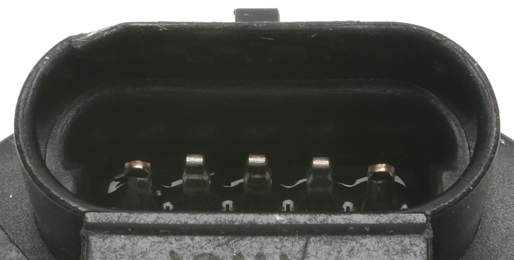 Alternate Image