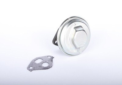 GM Genuine Parts Exhaust Gas Recirculation (EGR) Valve with Gasket